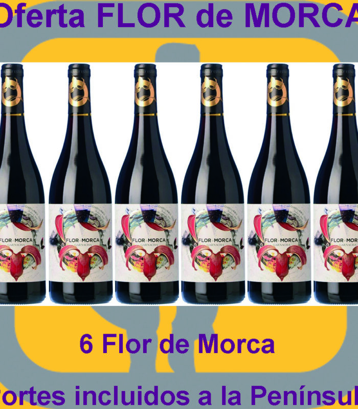 Oferta #8534 Flor de MORCA