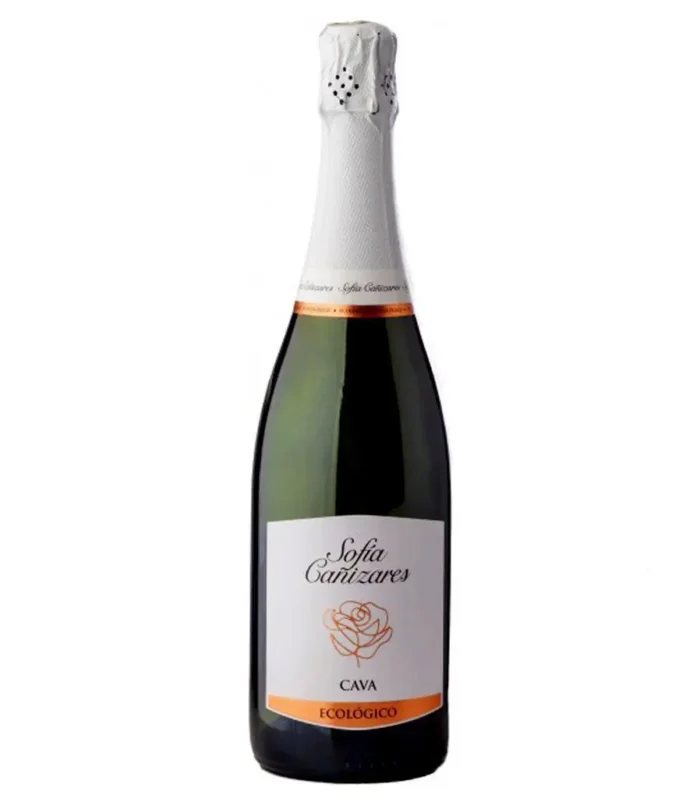 Sofía Cañizares Cava