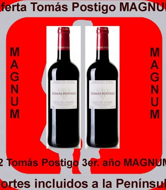 Oferta #8956 Tomás Postigo 3er año MAGNUM