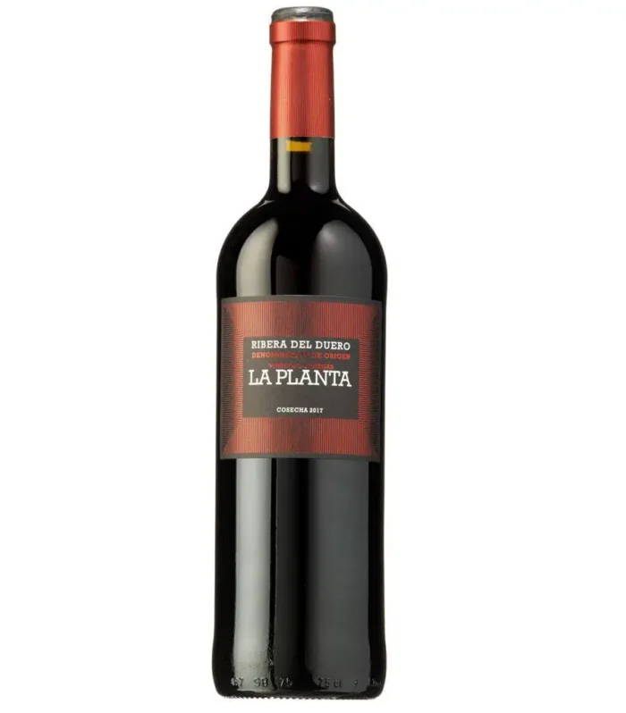 Vino Arzuaga LA PLANTA