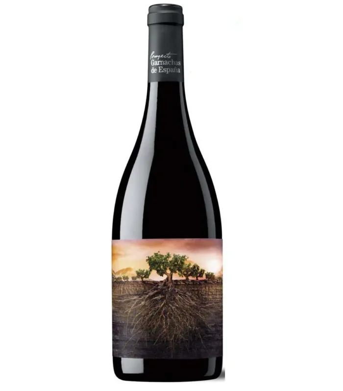 Vino Garnacha OLVIDADA de ARAGÓN