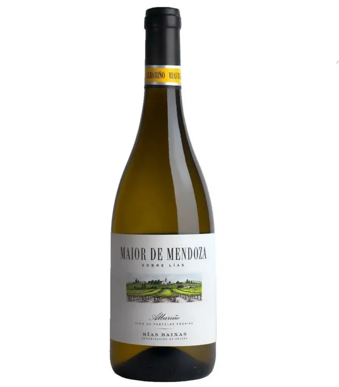 Vino MAIOR de MENDOZA