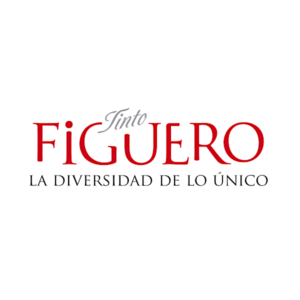 García Figuero